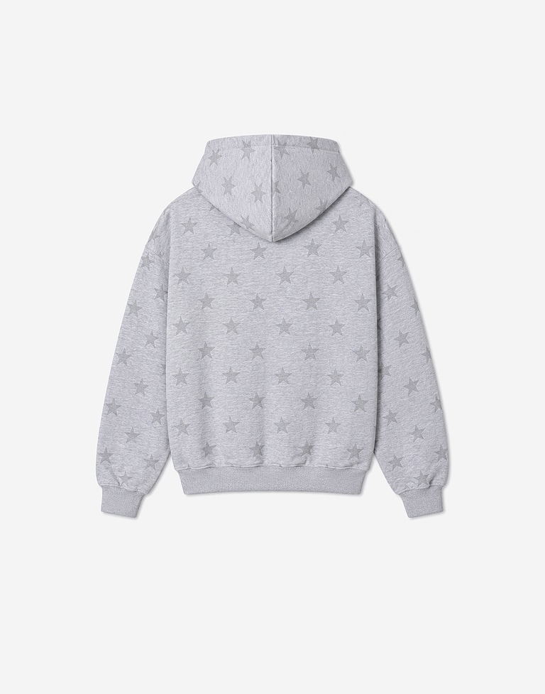 HOODIES Hawkers213 POLKA ZIPPER - Grey
